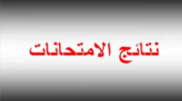 “حصرياً الآن”.. حمل نتائج السادس الابتدائي 2025 الدور الثالث لجميع المحافظات PDF برابط مباشر